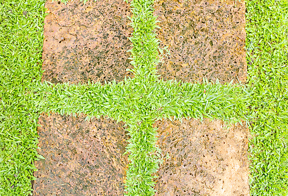 포토 JPG 해외이미지 나무 식물 라이프스타일 디자인 공원 도로 길 백그라운드 잎 곡선 자연 잔디 사람없음 야외 장식 초록색 평화 정원 침묵 산책 오솔길 배열 타일 조경 단계 말레이시아 내추럴 뒤뜰 루트 방법 선로 양발 세련 해외202004 해외포토 공공시설 아시아 선 컬러 컨셉 교통시설 휴식 생활 소리 생태계 파일형식 이미지허브