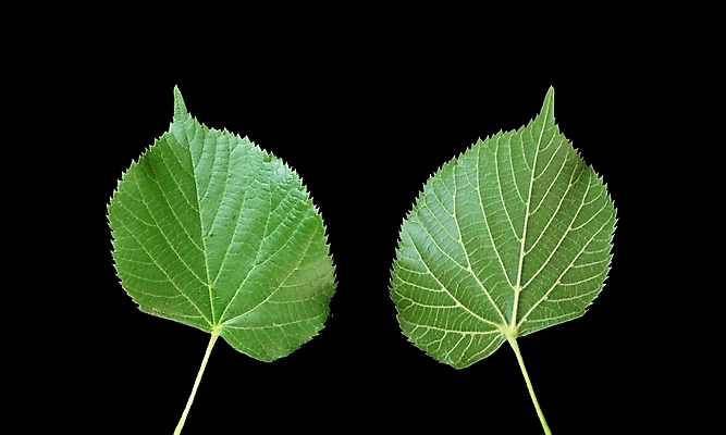 포토 JPG 해외이미지 사람없음 해외202004 해외포토 파일형식 이미지허브