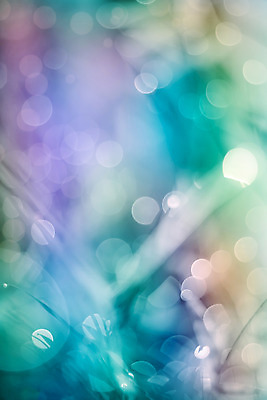 포토 JPG 해외이미지 디자인 백그라운드 잎 자연 추상 풍경 사람없음 야외 아웃포커스 세로 초록색 여름 빛 컬러풀 햇빛 태양 정원 맑음 봄 활발 거품 수확 신선 우아함 소프트포커스 배열 질감 보케 내추럴 강렬 블러 효과 해외202004 해외포토 자연요소 식물 계절 컬러 컨셉 무늬 농업 날씨 촬영기법 생태계 파일형식 이미지허브