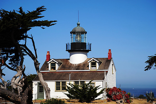 포토 JPG 해외이미지 나무 바다 주택 등대 사람없음 파란색 탑 미국 흰색 캘리포니아 해외202004 해외포토 식물 건축물 컬러 북아메리카 건물 파일형식 이미지허브