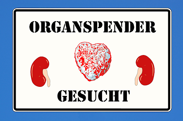 포토 JPG 해외이미지 손 사람없음 약 의사 하트 죽음 오르간 신장 자르기 사인 간 외과 기부 생존 해외202004 해외포토 모양 의학 모션 병원 신체부위 의료진 장기_의학 건반악기 비뇨기관 파일형식 이미지허브