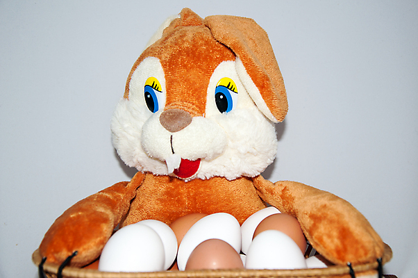 포토 JPG 해외이미지 동물 전통 디자인 계절 행복 기독교 종교 음식 십자가 휴가 부활절 이야기 선물 미술 사람없음 장식 빛 교회 바구니 믿음 계란 성경 봄 흰색 축하 토끼 예수 계획 4월 심볼 신성 신앙심 해외202004 해외포토 기념일 감정 컬러 컨셉 종교용품 포유류 문화예술 반려동물 알 신_종교 날짜 파일형식 이미지허브