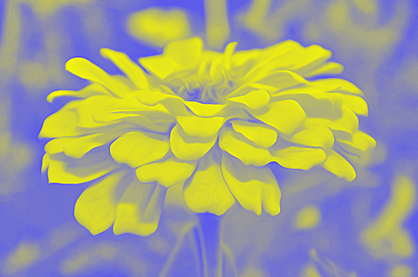 포토 JPG 해외이미지 식물 디자인 꽃잎 꽃 꽃다발 백그라운드 잎 꽃무늬 패턴 일러스트 자연 벽지 추상 가면 미술 사람없음 장식 여름 페인트 봄 벚꽃 신선 그리기 그림 페인트붓 내추럴 스타일 해외202004 해외포토 계절 무늬 모션 문화예술 붓 생태계 파일형식 이미지허브