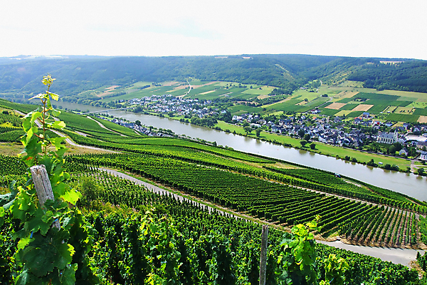 포토 JPG 해외이미지 사람없음 해외202004 해외포토 파일형식 이미지허브