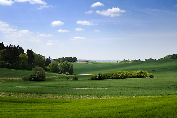 포토 JPG 해외이미지 나무 식물 구름 외관 유럽 도로 밭 농업 자연 하늘 풍경 사람없음 야외 목재 초록색 환경 와인 봄 성장 시골 숲 언덕 지역 체코 내추럴 공화국 보헤미아 생태학 수평선 모라비아 해외202004 해외포토 자연요소 계절 교육 나라 산업 길 컬러 재료 교통시설 주류 생태계 파일형식 이미지허브