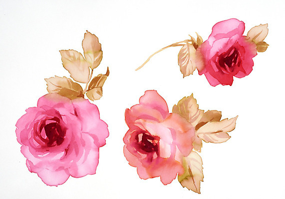 JPG 해외이미지 식물 꽃 꽃다발 일러스트 붓터치 수채화 사람없음 그림 번짐 해외202004 해외일러스트 파일형식 효과 이미지허브