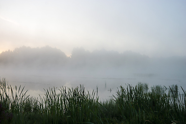 포토 JPG 해외이미지 나무 식물 구름 계절 공원 호수 여행 백그라운드 잎 자연 하늘 풍경 사람없음 야외 초록색 물 여름 파란색 빛 강 컬러풀 햇빛 태양 반사 환경 침묵 봄 흐름 안개 가을 바위 흰색 시골 신선 숲 장면 내추럴 생태학 해외202004 해외포토 자연요소 공공시설 교육 컬러 컨셉 날씨 소리 돌_바위 생태계 파일형식 이미지허브