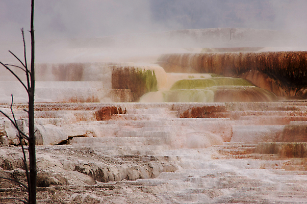 포토 JPG 해외이미지 나무 공원 야생동물 자연 하늘 풍경 사람없음 물 강 미국 봄 가을 뜨거움 황무지 10월 내추럴 인기 지열 해외202004 해외포토 자연요소 식물 동물 계절 공공시설 북아메리카 날짜 생태계 파일형식 이미지허브