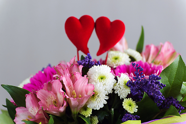 포토 JPG 해외이미지 식물 꽃잎 꽃 분홍색 꽃다발 백그라운드 꽃무늬 자연 휴가 발렌타인데이 선물 사랑 사람없음 장식 빨간색 장미 축제 놀람 벚꽃 마음 축하 신선 개화 의식 백합 다발 심볼 순수 질감 기회 향기 아로마 열정 거베라 악취 낭만주의 해외202004 해외포토 감정 컬러 컨셉 무늬 데이이벤트 표정 생태계 냄새 파일형식 이미지허브