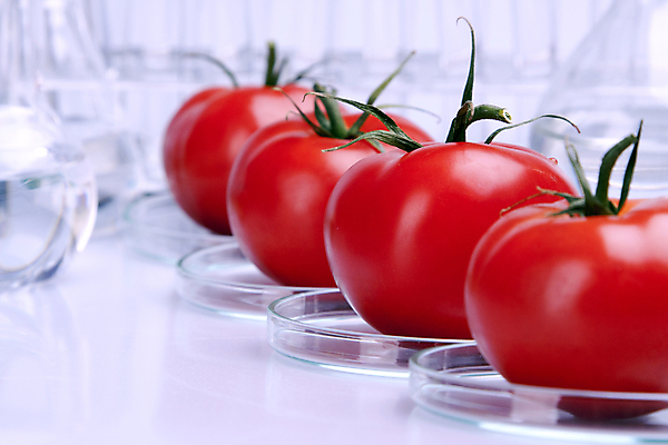 포토 JPG 해외이미지 음식 과학 농업 토마토 과일 자연 실험 주사기 사람없음 약 흰색 실험실 사과 DNA 생명공학 약국 과학자 유기농 주사약 유전 화학물질 해외202004 해외포토 직업 웰빙 산업 컬러 채소 의학 의료기기 화학 생태계 학자 파일형식 이미지허브