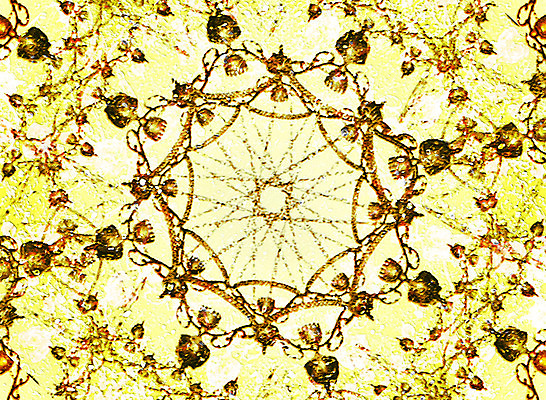 포토 JPG 해외이미지 템플릿 디자인 백그라운드 잎 패턴 일러스트 자연 벽지 추상 따뜻함 미술 사람없음 그래픽 장식 디지털 희망 소용돌이 화려 고급 우아함 인쇄 질감 복고 빈티지배경 만다라 바로크 엘리먼트 스타일 세련 해외202004 해외포토 식물 감정 컨셉 무늬 문화예술 회오리 빈티지 생태계 파일형식 이미지허브