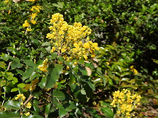 포토 JPG 해외이미지 나무 식물 꽃 백그라운드 자연 하늘 풍경 사람없음 빨간색 초록색 여름 파란색 빛 노란색 봄 벚꽃 흰색 체리 사과 타운 남쪽 보헤미아 옛날 해외202004 해외포토 계절 컬러 과일 도시 방향 생태계 파일형식 이미지허브