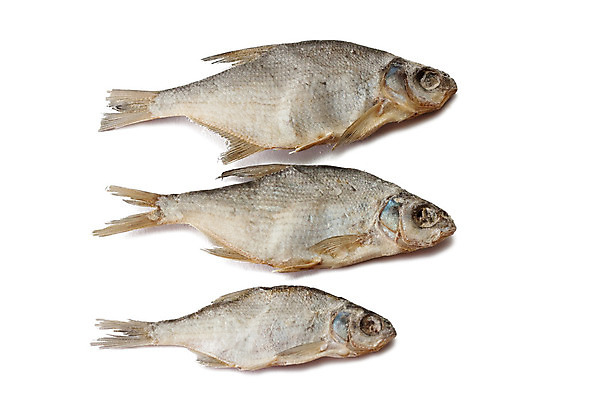 포토 JPG 해외이미지 음료 음식 바다 재료 건조 어류 요리 사람없음 식사 시장 먹기 해산물 준비 상쾌 소금 절임 해외202004 해외포토 감정 모션 수중동물 파일형식 이미지허브