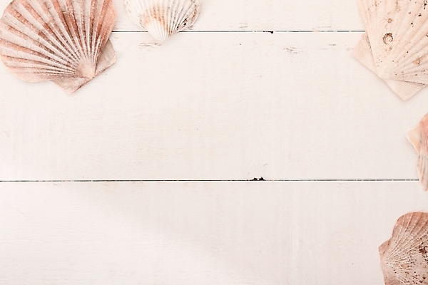 포토 JPG 해외이미지 음식 어류 사람없음 장식 여름 껍질 해산물 메뉴 머리위 홍합 건강식 해외202004 해외포토 계절 어패류 수중동물 파일형식 이미지허브