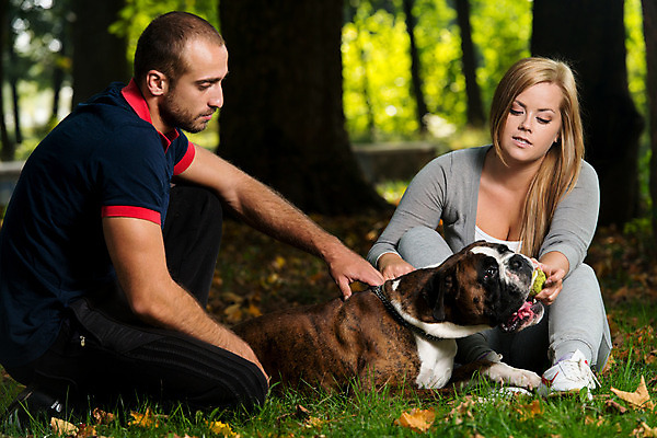 포토 JPG 해외이미지 동물 한마리 웰빙 커플 여자 남자 행복 결혼 가족 포옹 청소년 자연 휴식 함께함 사랑 웃음 사람 앉기 야외 두명 반려동물 금발 햇빛 우정 기쁨 아내 개 숲 결합 흥분 나눔 돌봄 해외202004 해외포토 1 헤어스타일 감정 컨셉 포유류 관계 안기 모션 표정 이벤트 친구 태양 생태계 파일형식 이미지허브