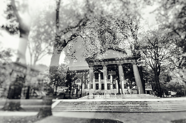 포토 JPG 해외이미지 나무 디자인 공원 여행 돈 비즈니스 건축양식 휴가 미래 휴식 아이디어 사람없음 건물 도시풍경 미국 도시 소프트포커스 걱정 대학교 뉴욕 상업 바쁨 지역 혼란 몽환 현실 해외202004 해외포토 식물 건축물 공공시설 건축 감정 컨셉 북아메리카 학교 촬영기법 풍경 재산 파일형식 이미지허브