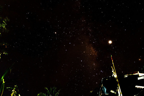 포토 JPG 해외이미지 모양 나무 실루엣 별 지구 과학 자연 하늘 건조 나선형 국립공원 풍경 사람없음 야외 세로 우주 어둠 침묵 별자리 행성 사막 탐험 황무지 야간 코스모스 은하계 위치 점성술 지역 천문학 별빛 성운 궁수 해외202004 해외포토 자연요소 식물 공원 교육 꽃 무늬 촬영기법 빛 소리 생태계 파일형식 이미지허브