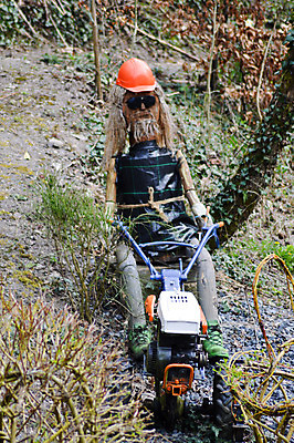 포토 JPG 해외이미지 자연 하늘 해바라기 풍경 사람없음 여름 노란색 맑음 신선 큼 8월 7월 강렬 카피스페이스 해외202004 해외포토 계절 꽃 컬러 날씨 공백 날짜 크기 생태계 파일형식 이미지허브