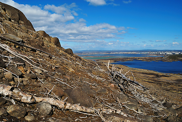 포토 JPG 해외이미지 나무 식물 구름 호수 자연 산 건조 풍경 사람없음 목재 환경 바위 죽음 도시 숲 언덕 부식 생태학 옛날 해외202004 해외포토 자연요소 교육 재료 돌_바위 생태계 파일형식 이미지허브