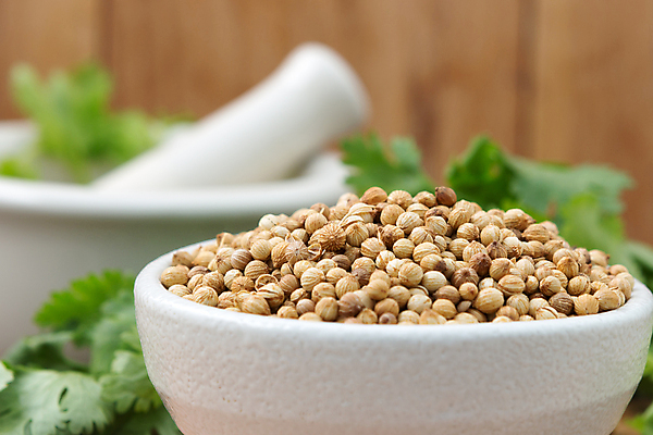 포토 JPG 해외이미지 식물 전통 계절 음식 잎 농업 채소 재료 자연 건조 파슬리 건강 요리 씨앗 사람없음 갈색 주방 중국 봄 시골 신선 양념 조미료 고수 맛 다발 허브 보따리 유기농 매움 날것 아로마 향료 향 레시피 내추럴 샬롯 해외202004 해외포토 웰빙 산업 아시아 컬러 컨셉 양파 향신료 생태계 향기 냄새 향미료 파일형식 이미지허브