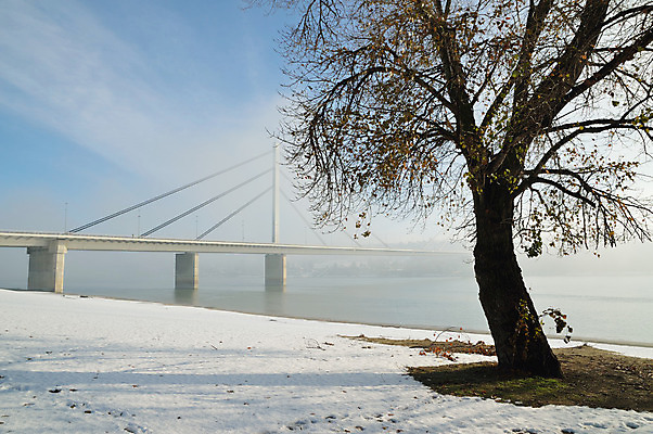 포토 JPG 해외이미지 나무 계절 유럽 도로 겨울 건축양식 자연 하늘 풍경 사람없음 건물 물 강 추위 안개 흰색 서리 다뉴브강 방법 해외202004 해외포토 자연요소 식물 건축물 건축 나라 길 컬러 교통시설 날씨 생태계 파일형식 이미지허브