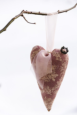 포토 JPG 해외이미지 꽃 리본 크리스마스 겨울 패턴 휴가 왕관 새로움 발렌타인데이 선물 사랑 미술 사람없음 장난감 하트 직물 생일 바느질 공예 연도 에코 부드러움 수공예 내추럴 핸드메이드 해외202004 해외포토 모양 식물 계절 기념일 감정 컨셉 무늬 데이이벤트 문화예술 취미 환경 감각 파일형식 이미지허브