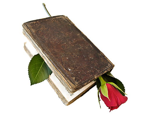 포토 JPG 해외이미지 꽃 종교 결혼 꽃무늬 텍스트 사람없음 책 빨간색 단어 태양 장미 성경 오픈 영혼 편지 심볼 페이지 신성 점화 해외202004 해외포토 자연요소 식물 문자 컬러 무늬 종교용품 이벤트 파일형식 이미지허브