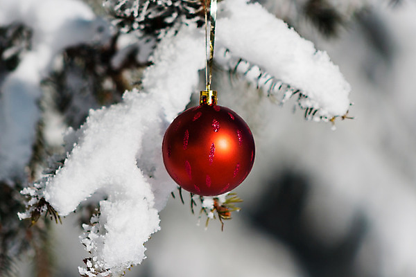 포토 JPG 해외이미지 나무 계절 크리스마스 겨울 공 유리 휴가 매달리기 사람없음 장식 빨간색 축제 장식볼 나뭇가지 축하 원형 12월 취급주의 가문비나무 해외202004 해외포토 도형 식물 기념일 컬러 컨셉 모션 재질 경고 날짜 파일형식 이미지허브
