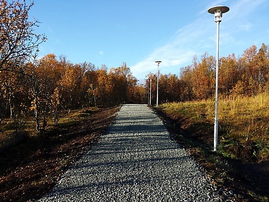 포토 JPG 해외이미지 자국 사람없음 야외 빛 햇빛 태양 맑음 가을 숲 봉 해외202004 해외포토 자연요소 계절 날씨 파일형식 이미지허브