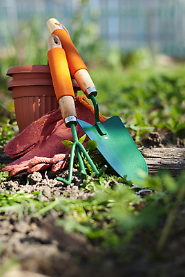 포토 JPG 해외이미지 식물 옷 공원 화분 장갑 컨셉 잎 농업 가정 자연 휴식 풍경 사람없음 초록색 정원 침묵 성장 공구 직물 신선 보호 모종삽 삽 국자 유기농 원예 내추럴 돌봄 땅바닥 심기 조작 집게발 해외202004 해외포토 웰빙 잡화 공공시설 산업 컬러 모션 주방용품 바닥 취미 소리 도구 생태계 파일형식 이미지허브
