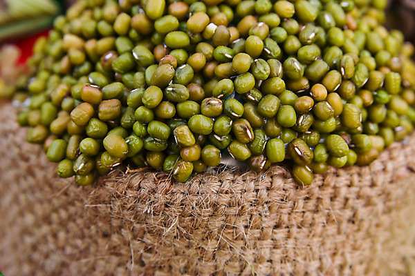 포토 JPG 해외이미지 식물 음식 백그라운드 농업 다이어트 채소 재료 자연 콩 건조 건강 요리 씨앗 동양인 사람없음 목재 초록색 쌓기 새싹 주방 정원 샐러드 흰색 신선 맥박 작음 먹기 유기농 질감 완두콩 날것 내추럴 단백질 채식주의자 해외202004 해외포토 나무 웰빙 산업 컬러 의학 모션 곡류 인종 크기 생태계 채식 영양소 파일형식 이미지허브