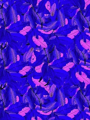 포토 JPG 해외이미지 식물 계절 공원 분홍색 백그라운드 단풍 잎 자연 건조 사람없음 목재 컬러풀 카펫 덮개 가을 닫기 숲 큼 9월 유기농 질감 10월 내추럴 해외202004 해외포토 나무 웰빙 공공시설 컬러 재료 모션 뚜껑 날짜 크기 생태계 파일형식 이미지허브