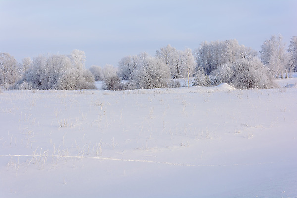 포토 JPG 해외이미지 나무 식물 구름 디자인 계절 공원 여행 백그라운드 크리스마스 밭 자연 하늘 지붕 날씨 산 주택 풍경 사람없음 야외 목재 파란색 빛 울타리 햇빛 태양 갈색 마을 환경 맑음 냉동 얼음 검은색 추위 흰색 나뭇가지 시골 숲 오두막 언덕 서리 장면 내추럴 교외 제설기 수평선 해외202004 해외포토 자연요소 공공시설 기념일 컬러 농업 재료 건물 담장 생태계 제설 파일형식 이미지허브