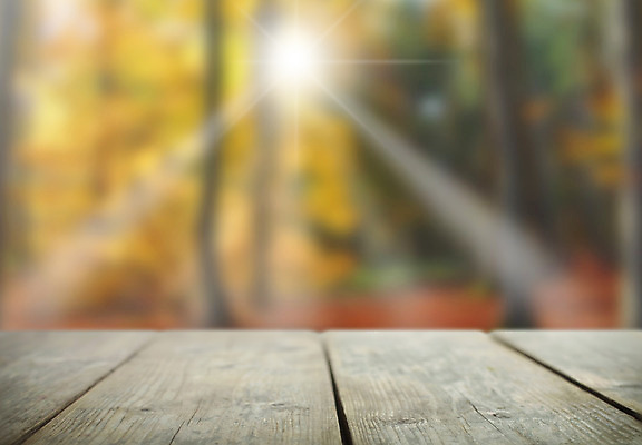 포토 JPG 해외이미지 나무 계절 백그라운드 단풍 잎 오렌지 사람없음 목재 빨간색 햇빛 태양 우주 맑음 일몰 광선 가을 나뭇가지 시골 소프트포커스 숲 보케 카피스페이스 해외202004 해외포토 자연요소 식물 컬러 과일 재료 날씨 촬영기법 노을 공백 파일형식 이미지허브