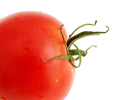 포토 JPG 해외이미지 1 라이프스타일 음식 줄기 백그라운드 다이어트 토마토 채소 건강 식이요법 사람없음 빨간색 초록색 정원 식사 저녁식사 흰색 양념 아침식사 먹기 오브젝트 싱글 상쾌 점심식사 과육 수유 숙성 해외202004 해외포토 식물 감정 컬러 모션 생활 파일형식 이미지허브