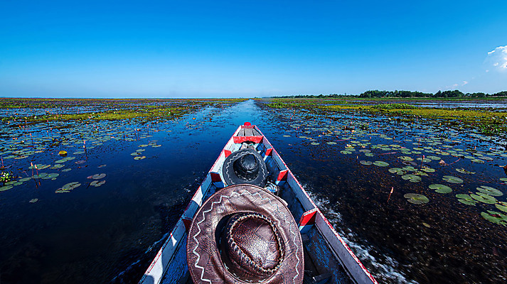 포토 JPG 해외이미지 동물 라이프스타일 호수 야생동물 스포츠 파도 바다 섬 여행 백그라운드 교통시설 자연 하늘 휴가 휴식 사람 풍경 사람없음 야외 물 여름 파란색 컬러풀 만 보트 다이빙 암초 내추럴 깊이 해외202004 해외포토 자연요소 계절 컬러 교통 컨셉 배_교통 생활 수영 시설 생태계 수중스포츠 파일형식 이미지허브