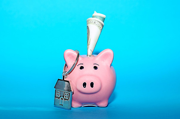 포토 JPG 해외이미지 백그라운드 컨셉 돈 비즈니스 자동차 성공 부동산 주택 사람없음 건물 목재 초록색 금융 경제 상자 장난감 동전 저축 성장 돼지 재산 구매 심볼 오브젝트 투자 이익 대출 관심 진짜 해외202004 해외포토 나무 건축물 육상교통 컬러 재료 포유류 쇼핑 파일형식 이미지허브