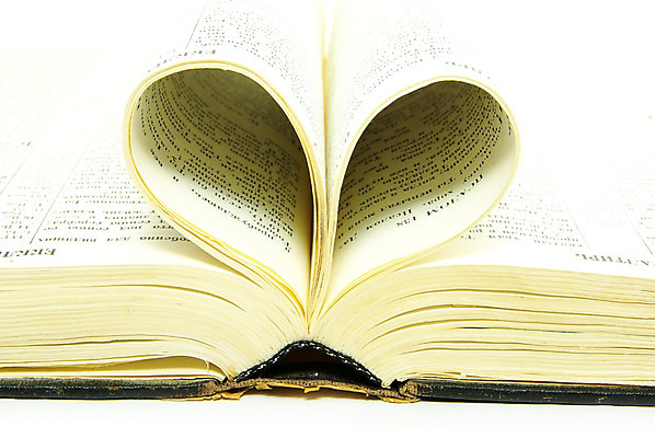 포토 JPG 해외이미지 종교 사람없음 스터디 성경 오픈 영혼 집중 읽기 통로 페이지 신성 고립 신앙심 해외202004 해외포토 컨셉 종교용품 모션 학습 파일형식 이미지허브