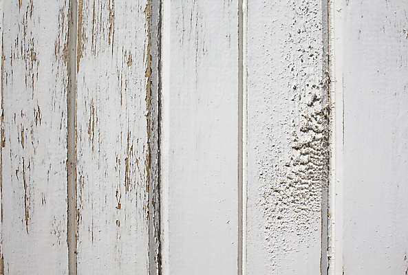 포토 JPG 해외이미지 나무 디자인 외관 벽 백그라운드 컨셉 패턴 건축양식 자연 표면 추상 바닥 프레임 사람없음 건물 목재 가로 갈색 우주 어둠 줄무늬 장비 판넬 거친 플랫 가득함 질감 복고 매듭 결 내추럴 구식 수목 엘리먼트 옛날 줄서기 해외202004 해외포토 식물 건축물 건축 컬러 무늬 재료 모션 생태계 파일형식 이미지허브