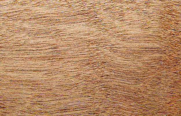 포토 JPG 해외이미지 나무 식물 디자인 벽 백그라운드 패턴 자연 탁자 표면 추상 바닥 사람없음 목재 빛 갈색 어둠 수확 흰색 소나무 판넬 거친 닫기 널 정상 질감 목공예 잡동사니 내추럴 그런지 수목 옛날 해외202004 해외포토 컬러 가구 무늬 농업 재료 모션 공예 생태계 파일형식 이미지허브