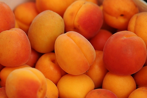 포토 JPG 해외이미지 식물 음식 백그라운드 농업 오렌지 자연 디저트 건강 사람없음 목재 초록색 농작물 농장 노란색 껍질 신선 황금 달콤 맛 과수원 땅 자르기 오브젝트 유기농 질감 날것 타입 흙더미 밭일 살구 숙성 채식주의자 많음 카피스페이스 비건 해외202004 해외포토 나무 웰빙 산업 컬러 컨셉 과일 재료 모션 흙 공백 생태계 채식 파일형식 더미 이미지허브