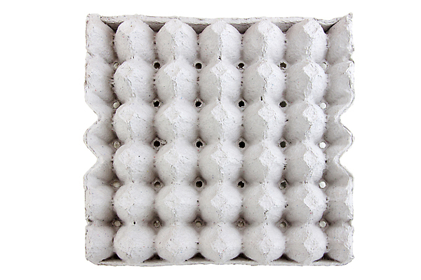 포토 JPG 해외이미지 동물 종이 음식 백그라운드 컨셉 자연 요리 사람없음 농장 흰색 판넬 아침식사 보호 상품 먹기 유기농 건강식 수탉 고립 해외202004 해외포토 웰빙 컬러 농업 모션 식사 닭 수컷 생태계 파일형식 이미지허브