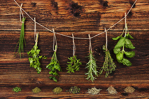 포토 JPG 해외이미지 식물 계절 잎 재료 건조 파슬리 매달리기 건강 요리 사람없음 목재 초록색 약 정원 약재 신선 양념 고수 혼합 다발 민트 허브 보따리 유기농 원예 날것 바질 로즈메리 내추럴 백리향 많음 해외202004 해외포토 나무 웰빙 컬러 컨셉 채소 의학 모션 취미 향신료 파일형식 이미지허브