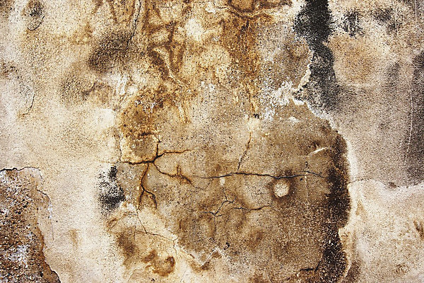 포토 JPG 해외이미지 디자인 벽 백그라운드 패턴 표면 추상 사람없음 장식 손상 코트 거친 균열 묘사 벽화 부식 질감 시멘트 점토 스크래치 골절 구식 그런지 깨짐 벌거벗은 석고 옛날 울퉁불퉁 중고 찰과상 해외202004 해외포토 컨셉 무늬 의학 모션 외투 상처 그림 파일형식 이미지허브