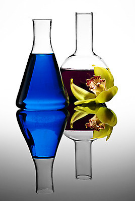 포토 JPG 해외이미지 꽃 과학 자연 사람없음 빨간색 세로 파란색 컬러풀 약 노란색 보라색 거울 장비 흰색 실험실 생명공학 플라스크 흰배경 유기농 생물학 비커 해결 화학물질 해외202004 해외포토 식물 웰빙 교육 컬러 백그라운드 의학 실험기구 실험 화학 생태계 파일형식 이미지허브