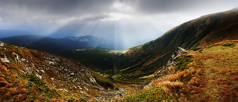 포토 JPG 해외이미지 나무 계절 공원 도로 단풍 자연 아침 파노라마 풍경 사람없음 야외 여름 빛 울타리 햇빛 태양 일출 맑음 어둠 일몰 새벽 하이킹 안개 광선 가을 나뭇가지 소나무 영혼 숲 마법 내추럴 뿌연 삼림지대 우크라이나 웅장함 가문비나무 해외202004 해외포토 주간 자연요소 식물 공공시설 유럽 길 잎 교통시설 레저 날씨 촬영기법 담장 노을 생태계 파일형식 이미지허브
