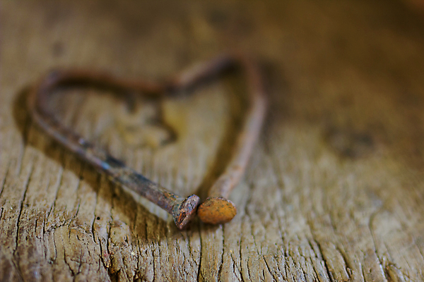 포토 JPG 해외이미지 모양 디자인 커플 감정 벽 결혼 백그라운드 컨셉 패턴 관계 벽지 결혼식 추상 휴가 프레임 발렌타인데이 선물 사랑 사람없음 목재 장식 갈색 우주 수확 하트 시골 축하 신용카드 심볼 오브젝트 사인 질감 복고 열정 2월 옛날 해외202004 해외포토 나무 컬러 무늬 농업 재료 데이이벤트 이벤트 금융 날짜 파일형식 이미지허브