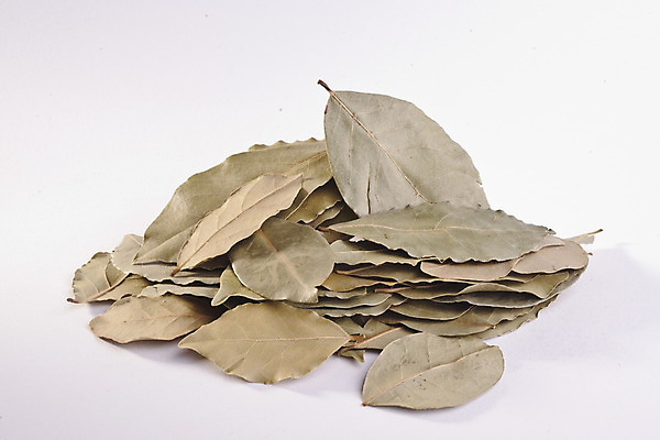 포토 JPG 해외이미지 스튜디오촬영 도마 씨앗 사람없음 목재 세로 금속 숟가락 소나무 양념 허브 향신료 국자 회향 해외202004 해외포토 나무 식물 재료 재질 주방용품 수저 실내 향미료 파일형식 이미지허브