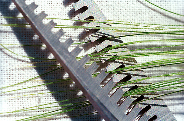 포토 JPG 해외이미지 식물 자연 사람없음 초록색 금속 기구 공구 업무 이발사 해외202004 해외포토 컬러 재질 도구 작업 생태계 파일형식 이미지허브