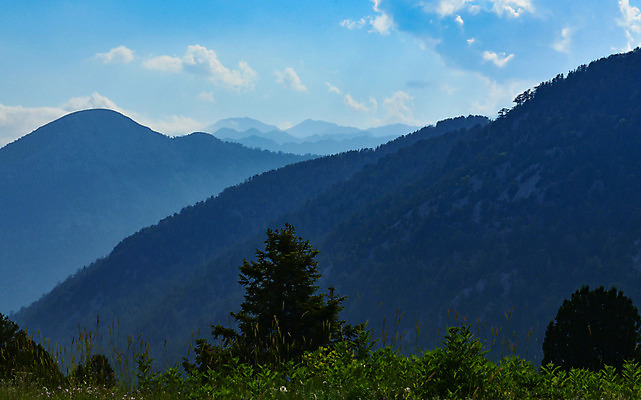 포토 JPG 해외이미지 스포츠 잎 자연 산 사람없음 평화 캠핑 정상 숲 테라피 막 해외202004 해외포토 식물 컨셉 레저 뷰티 생태계 파일형식 이미지허브